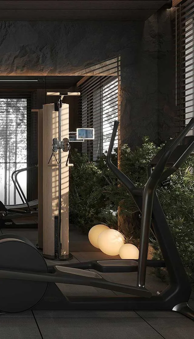 Gymnasium / Fitness Center